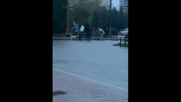 Зробив зауваження та вдарив ножем: у Львові пенсіонер поранив чоловіка у груди та живіт