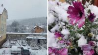 Первый снег в западной Украине 2023 – ФОТО и ВИДЕО