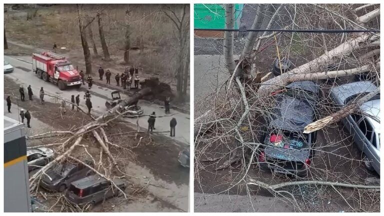 В городах Сибири бушует сильный ураган — видео