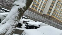 Сніг у Києві 22 листопада 2023