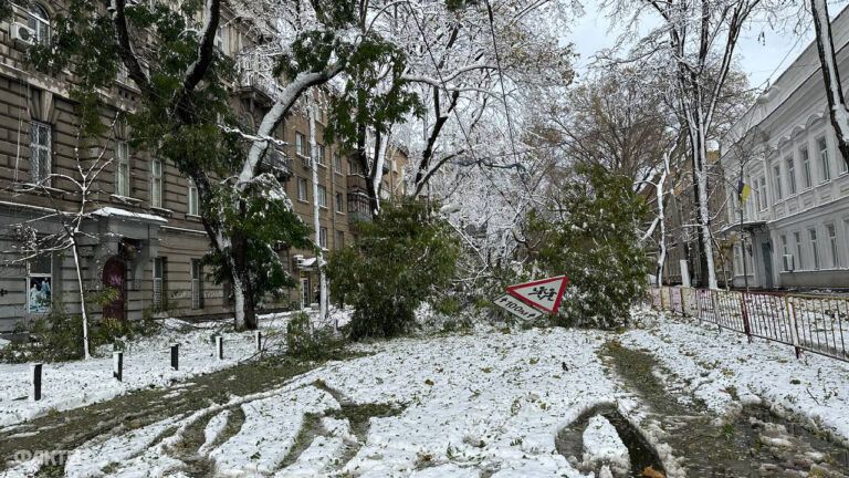 Наслідки негоди: в Одесі знайшли мертвими трьох безхатченків