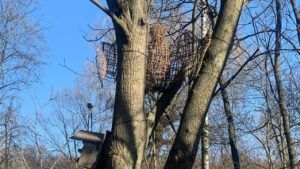 Сонячна погода взимку