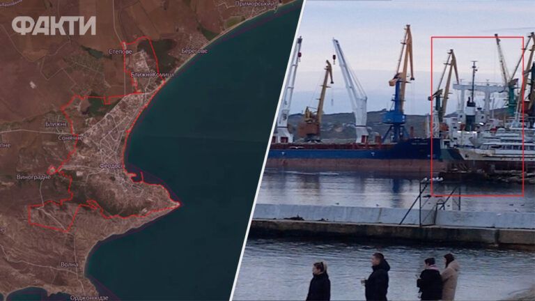 Идентифицировано судно, которое вывезло из Феодосии украденные в Мелитополе семена подсолнечника