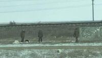 партизани