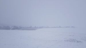 На Тернопольщине охотник в поле случайно застрелил мужчину в поле