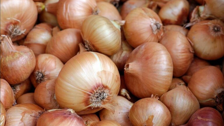 Минобороны разоблачило поставки некачественных продуктов ВСУ: что известно