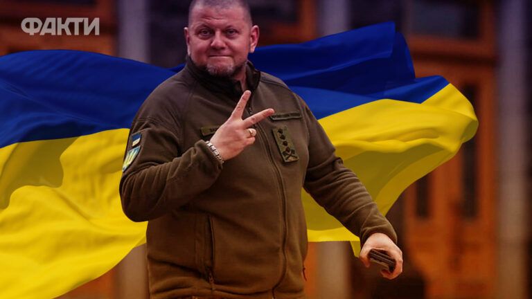 Валерия Залужного уволили с военной службы