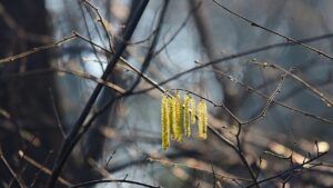 погода у Харкові на квітень