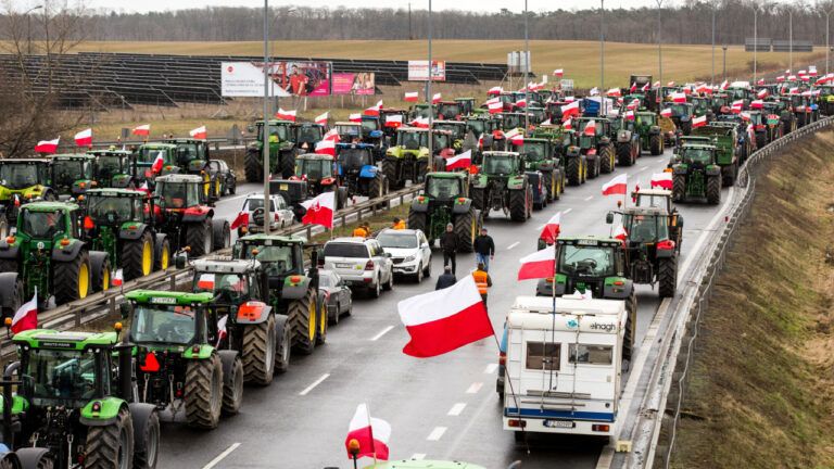 протест польських фермерів