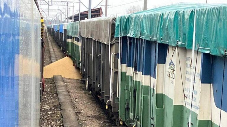В Польше в очередной раз высыпали украинские агротовары на пути — что известно