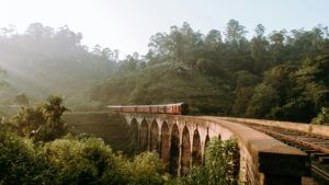 Россиянам и украинцам хотят отменить бесплатные визы в Шри-Ланку