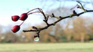 циклон в Україні,