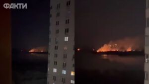 Пожежа в Києві в екопарку Осокорки: подробиці пожежі