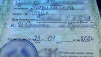 підроблені документи