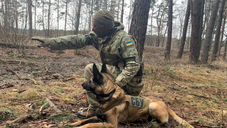 сбу