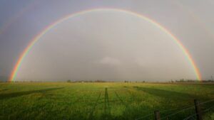 Погода на 4 апреля 2024 года в Украине — прогноз погоды на завтра