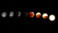 Солнечное затмение 8 апреля 2024 года: фото и видео