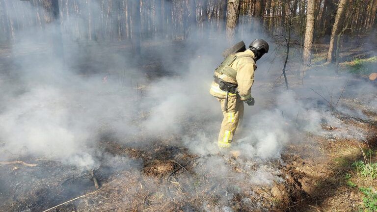 Пожежна небезпека влітку: якою буде погода у весняно-літній період 2024