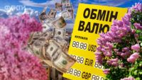 Курс долара в травні 2024: експерт дав прогноз курсу долара