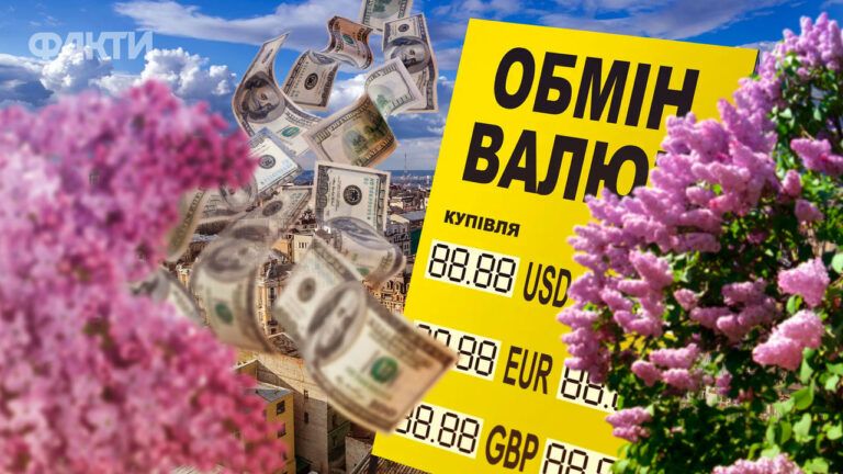 Курс долара в травні 2024: експерт дав прогноз курсу долара