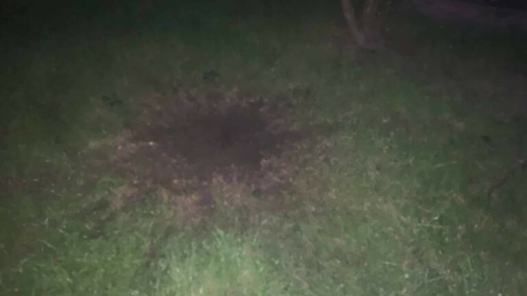 Вибух гранати у Києві