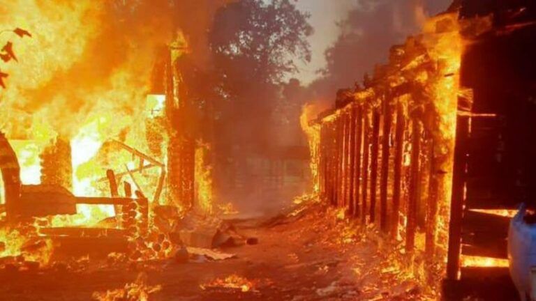 Обстріл екопарку в Лісному 24 липня 2024