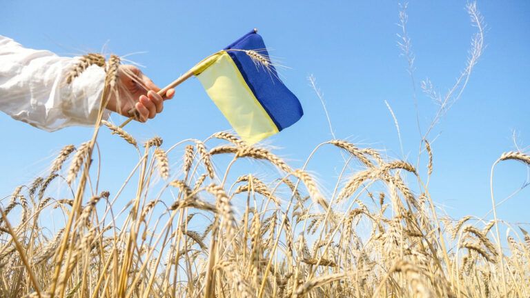 какие страны граничат с Украиной