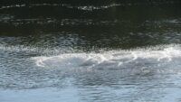 вода