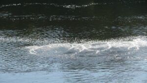 вода