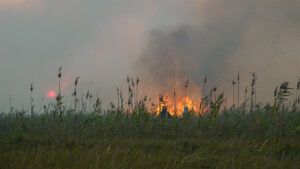 пожежі в Україні