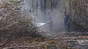 Дим у Києві