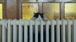 завершення опалювального сезону в Запоріжжі