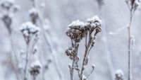 средняя температура зимой в Украин