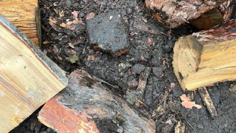На Харківщині підліток мало не спалив дівчину
