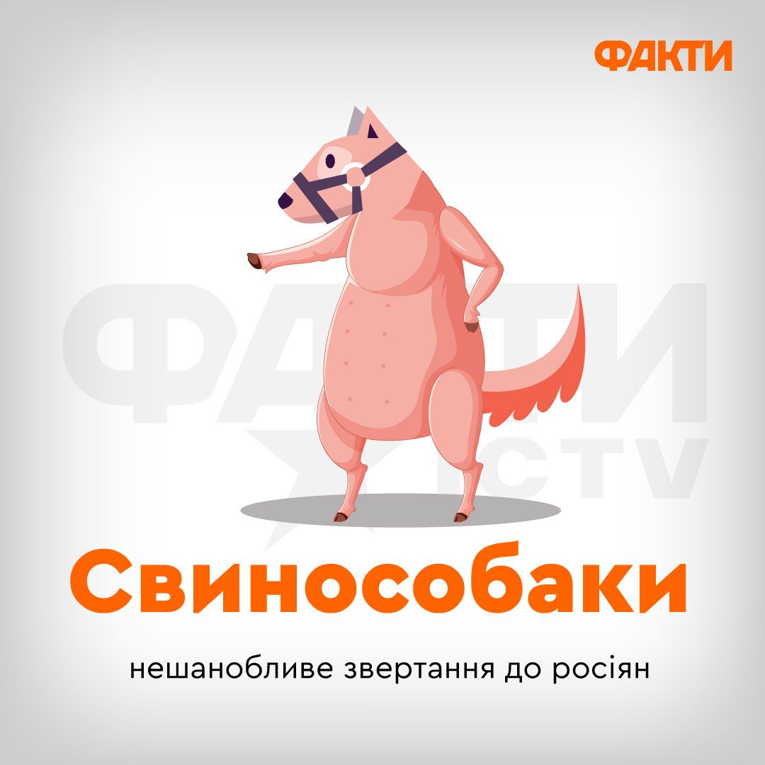 Неологизмы военного времени: 10 новых слов, которые стали нашей реальностью Фото 8 Свинособаки