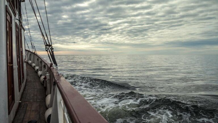 Повреждение подводного кабеля в Балтийском море: в Швеции зафиксировали новый случай
