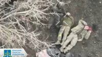 розстріл біля Времівки, полонені