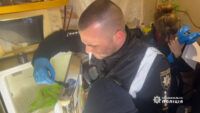 В Одесі в морозилці знайшли тіло однорічної дитини: розслідується умисне вбивство