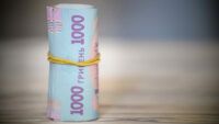 як витратити 1000 гривень Зеленського на продукти