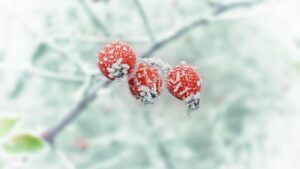 коли потеплішає у Харкові