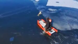 Рятувальники витягли собаку з Дніпра