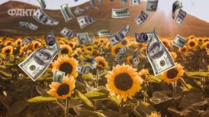цена на подсолнух в Украине в феврале 2025
