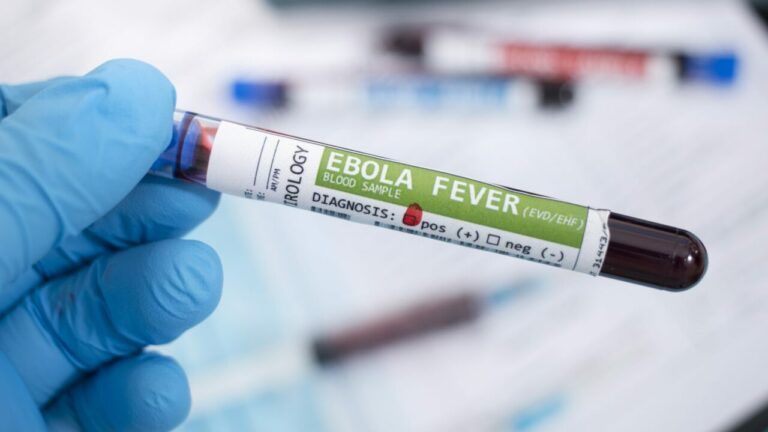 смерть дитину через лихоманку Еболи