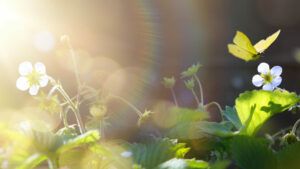 весняне рівнодення 2026