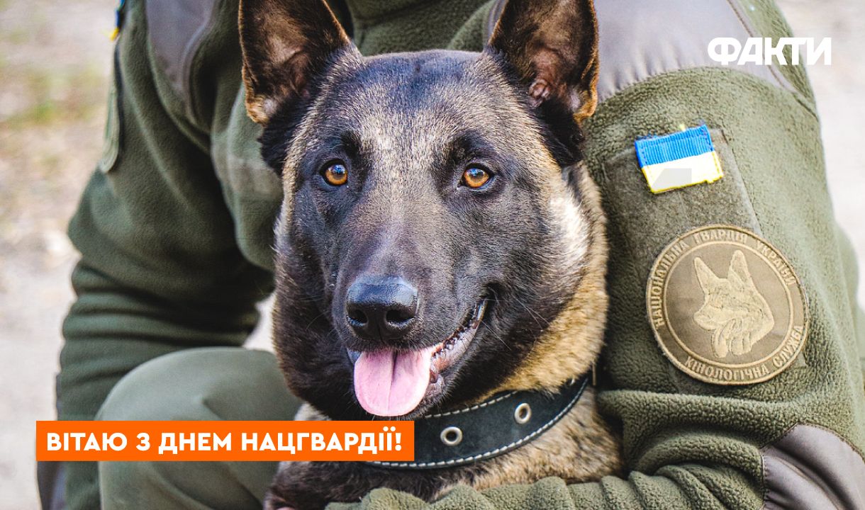 Вдохновения и мужества: поздравления с Днем Нацгвардии 2026 Фото 2 Привітання з Днем Нацгвардії: картинки 1