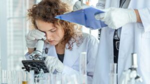 дослідження