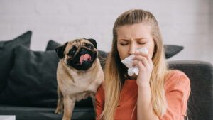 чи можна безкоштовно здати алергопроби в Україні