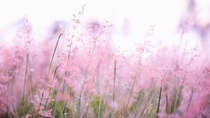 яке свято 9 квітня 2025 року