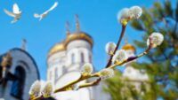 що робити з освяченою вербою