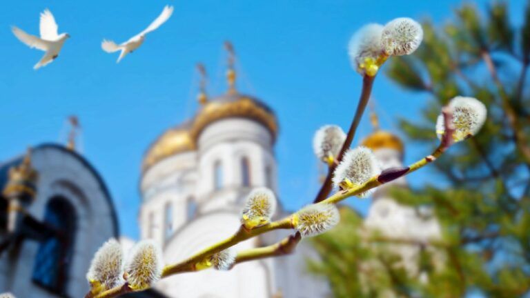 що робити з освяченою вербою